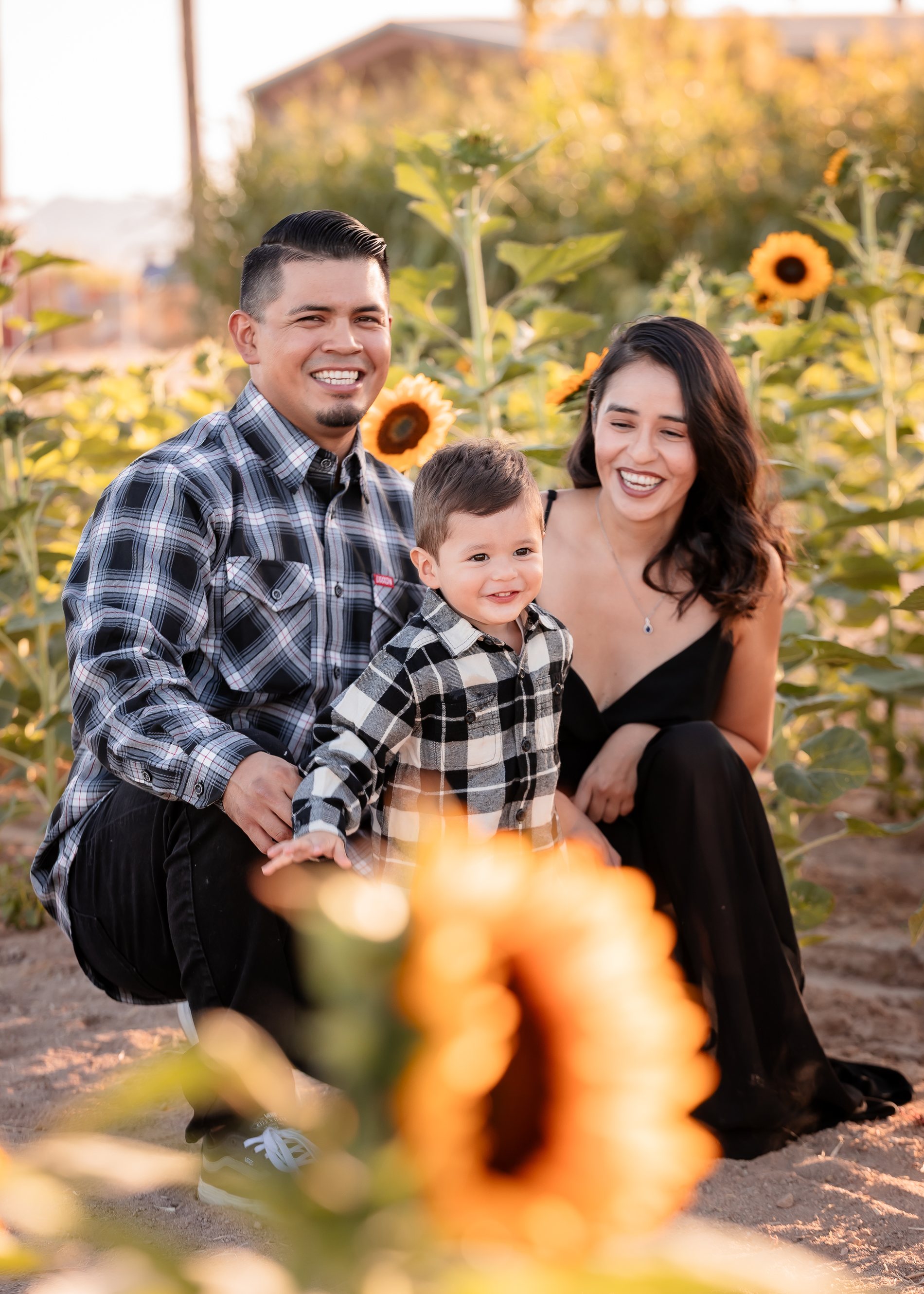 Pumpkin Patch family portrait by Pak Studios in Arizona family portrait session