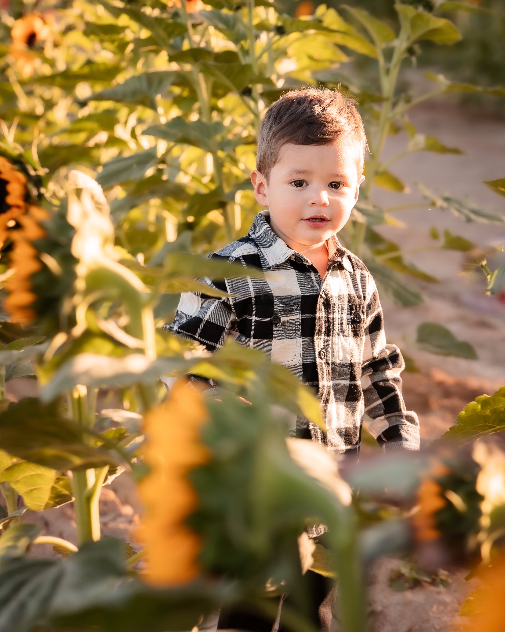 Pumpkin Patch family portrait by Pak Studios in Arizona family portrait session